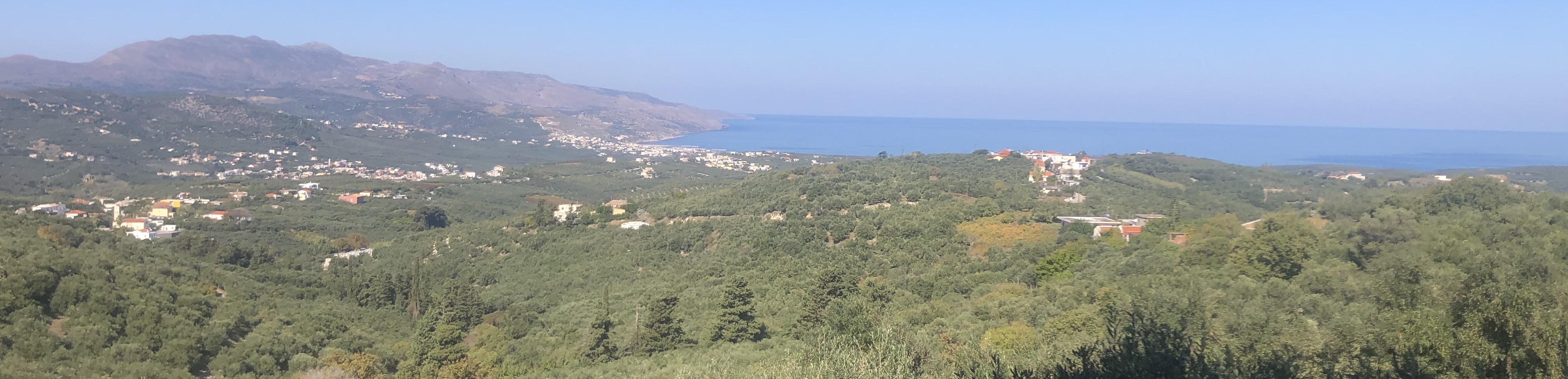 Kolymvari olive groves