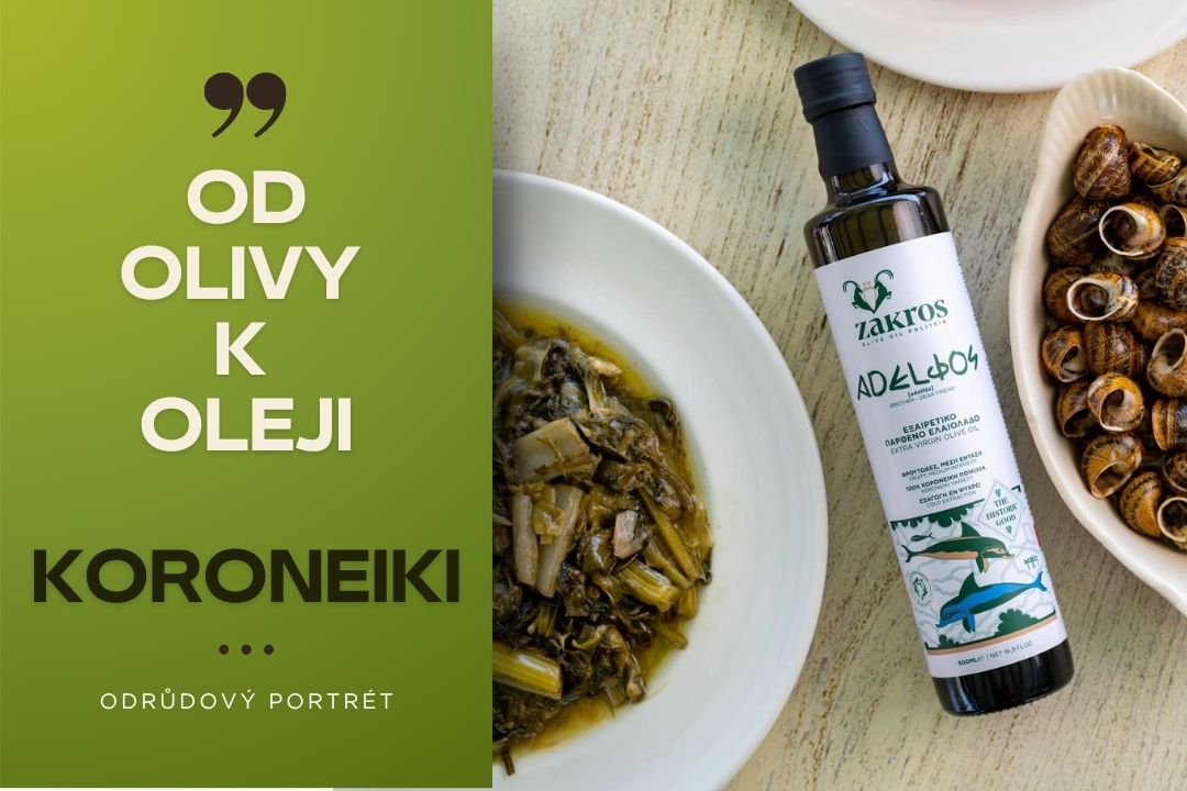 Koroneiki – królowa greckich oliwek