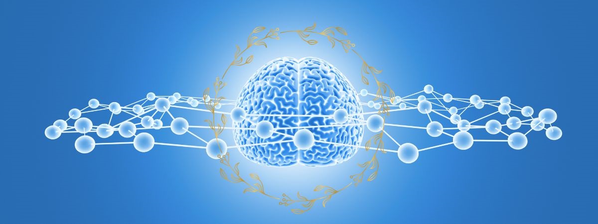 Účinok olivového oleja na mozog