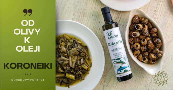 Od olivy k oleju: Portréty odrôd II. - Koroneiki