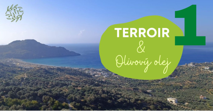 Terroir a pôvod I. – Pojem a historický vývoj