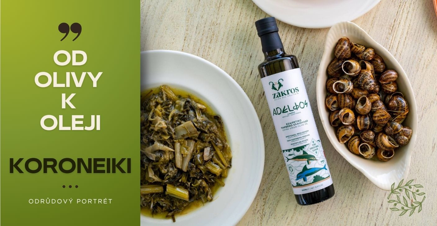 Od olivy k oleju: Portréty odrôd II. - Koroneiki